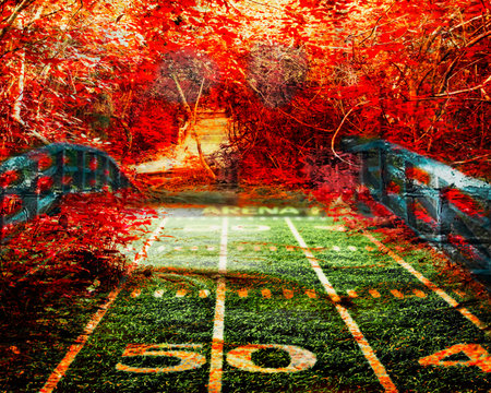 Footall Bridge to Bright Red forest
