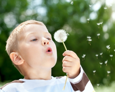 Beautiful cute boy in the park blowing on dandelion in summer timeの写真素材