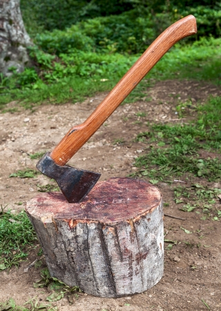 Ax in log for cutting meatの写真素材