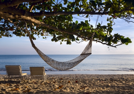 Two sunbeds and hammock hanging on tree on beach ocean の写真素材