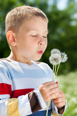 Beautiful cute boy in the park blowing on dandelion in summer timeの写真素材
