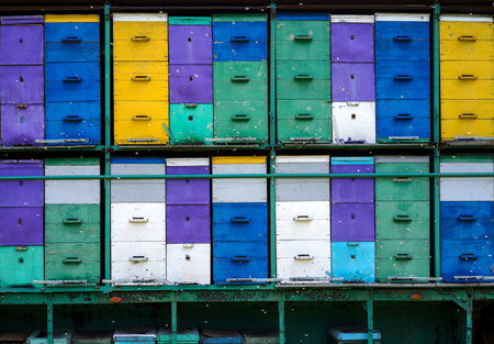Mobile apiary of different colors and many bee flying in the air