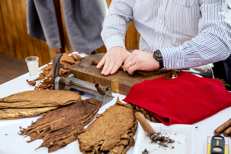 Man processing the tobacco leaves and making cigars with simple toolsの写真素材