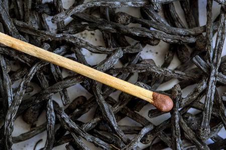 One new match closeup, among the matches completely burnt to ashesの写真素材