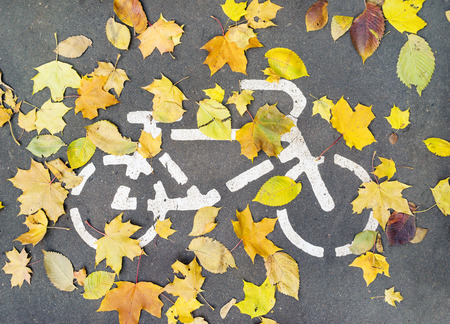 Road sign on asphalt for the ride cyclists and fallen autumn leavesの写真素材