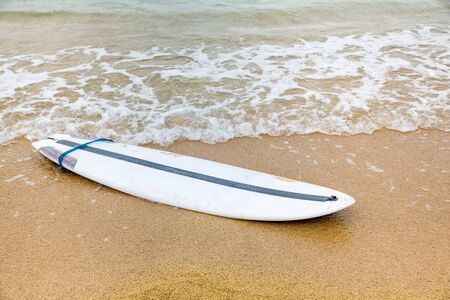 Fish Surfboard lying on sand on remote beach near the oceanの写真素材