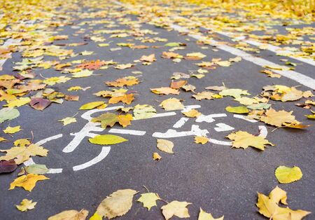 Road sign on asphalt for the ride cyclists and fallen autumn leavesの写真素材