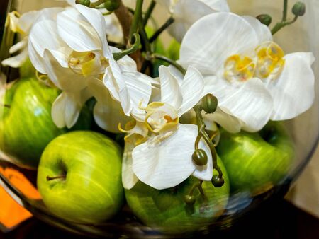 White Orchid with buds and green apples as decoration in the background in a glass round bowlの写真素材