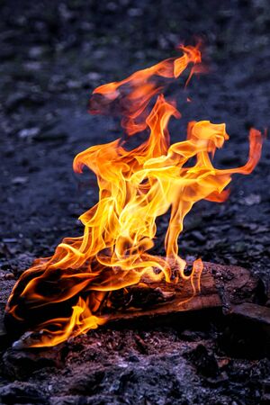 Fire flames of night bonfire on outdoors close upの写真素材
