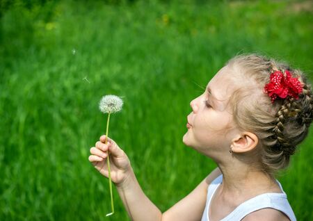 Beautiful young girl in the park blowing on dandelion in summerの写真素材