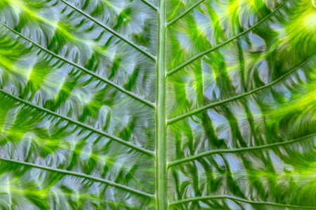 Beautiful texture of a green leaf close-upの写真素材