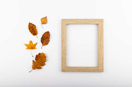 Minimal concept. Dry leaves on a white backdrop with a picture frame.の写真素材