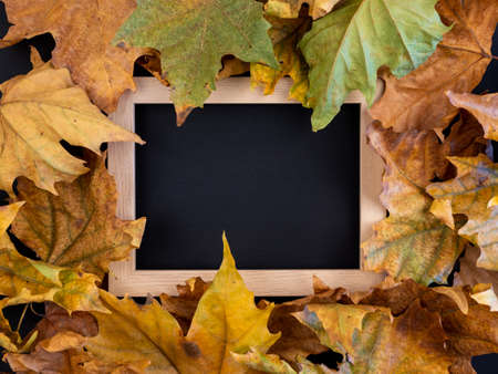 Flat lay photo of leaves on the black backdrop with frame. Dry autumn leaves in orange and yellow colors.の写真素材