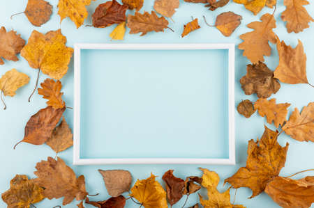 Minimal flat lay concept. Dry leaves on trendy blue backdrop with a picture frame.の写真素材