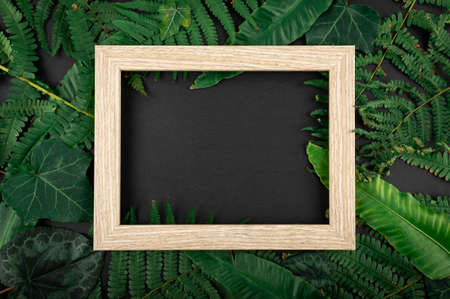 Minimal concept green leaves frame. Flat lay photo of a green leaf. Frame of the leaves.の写真素材