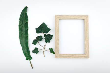 Minimal concept green leaves frame. Flat lay photo of a green leaf. Frame of the leaves.の写真素材