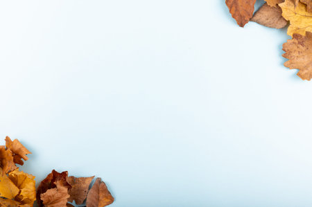 Minimal fall theme flat lay photo of leaves. Seasonal dry leaf on the blue trendy backdrop.