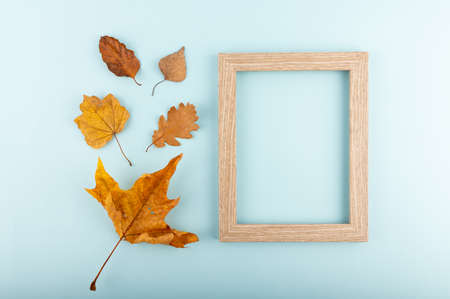 Minimal flat lay concept. Dry leaves on trendy blue backdrop with a picture frame.の写真素材