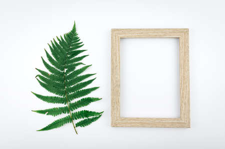 Minimal concept green leaves frame. Flat lay photo of a green leaf. Frame of the leaves.の写真素材