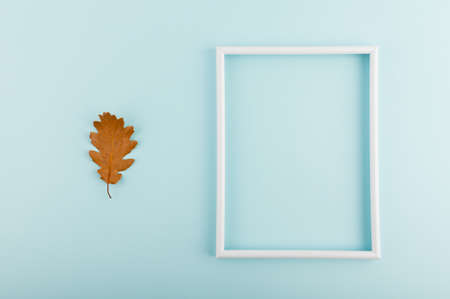 Minimal flat lay concept. Dry leaves on trendy blue backdrop with a picture frame.の写真素材