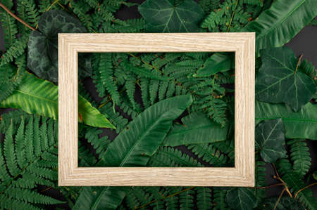Minimal concept green leaves frame. Flat lay photo of a green leaf. Frame of the leaves.の写真素材