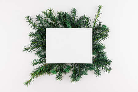 Flat lay minimal style. Christmas decoration pine branches with frame. Holidays theme photo.の写真素材