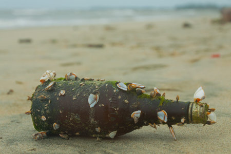 Sea beach. A bottle with a message. Shells on the sand.