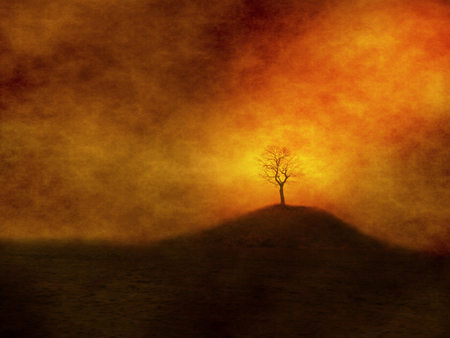 Alone tree on grungy background on small hillの写真素材