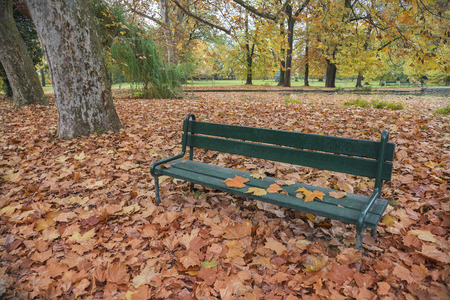 Bench in the park in fall with lot of red faliageの写真素材