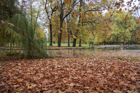 Small lake in the park in the fall with lot of foliageの写真素材