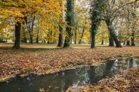 Small creek in the middle of the park in the fallの写真素材