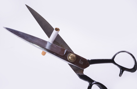 Cigarette cut with scissors to quit smoking on white backgroundの写真素材