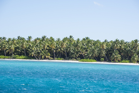 Caribbean sea with turquoise water and palms close to saona islandの写真素材