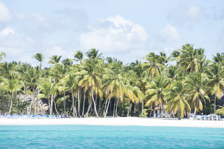 Caribbean sea with turquoise water and palms close to saona islandの写真素材