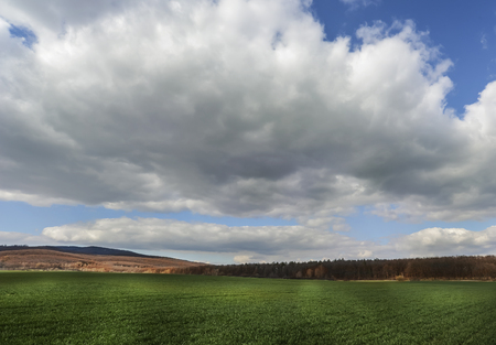 Dark clouds over the field and trees. Sky and field in the spring.の写真素材