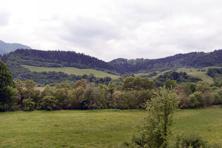 Beautiful gorge among the mountains covered with green vegetation and trees in the springの写真素材