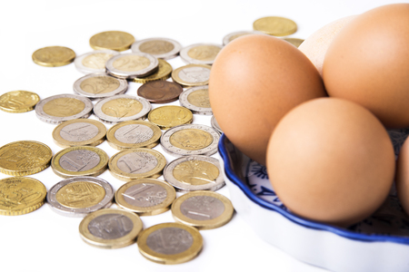 Eggs with euro coins money in basket on white.の写真素材
