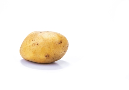 Big ripe potato on the white backgroundの写真素材