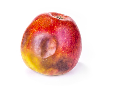 Rotten apple on the white backgroundの写真素材