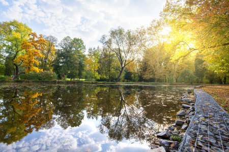 Park in the early fall with the lakeの写真素材