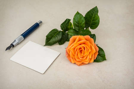 Isolated orange rose with a water dropsの写真素材