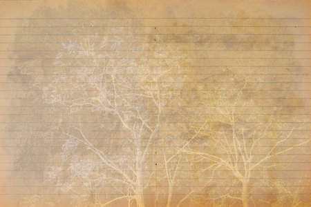 Grunge old page from notebook backgroundの写真素材