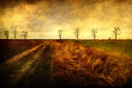 Silhouette of leafless trees with sky on a grunge backgroundの写真素材