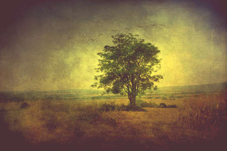 Tree in a field on a grunge background with flying birdsの写真素材