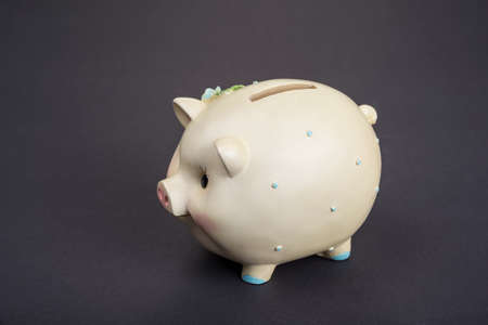 Ceramic money saving pig. Piggy bankの写真素材