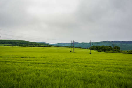 High power electric poles in the green fieldの写真素材