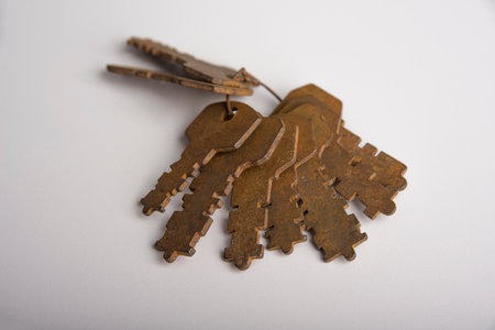Bunch of rusty padlock keys on a whiteの写真素材