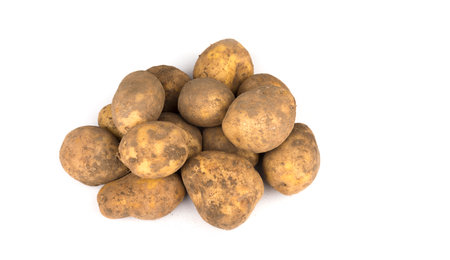 Stack of unwashed potatoes on a white backgroundの写真素材