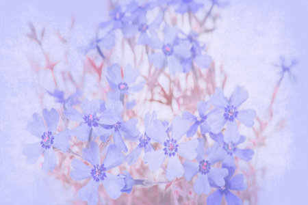 Violet floral grunge pattern background. Flower texture.の写真素材