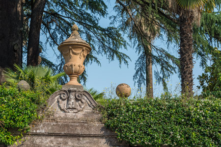 Combine hedge and cement fence with a ceramic ornamentの写真素材